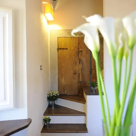 Pane E Vino 4* 코르토나