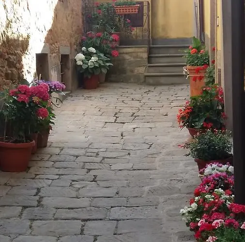 Pane E Vino Bed & Breakfast Cortona