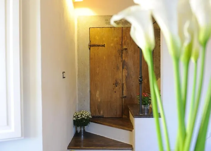 Pane E Vino 4* كورتونا